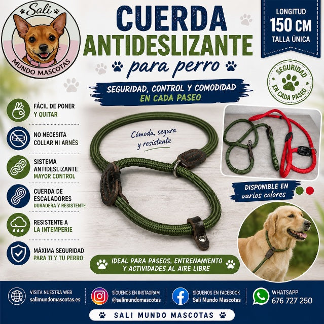 Zona perros