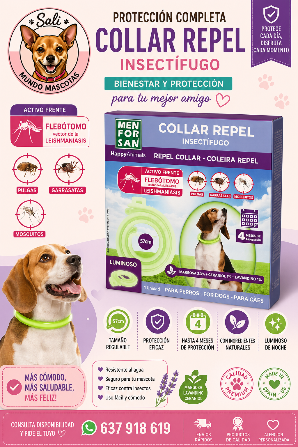 Collar repelente de insectos para perros Menforsan
Collar de protección contra pulgas y garrapatas Menforsan
Collar de protección para perros Menforsan (60 cm)
Collar antipulgas para perros Menforsan
Collar repelente de garrapatas y mosquitos Menforsan
Collar de protección para mascotas Menforsan
Collar para perros Menforsan de larga duración
Collar repelente para perros de exterior Menforsan
Collar de defensa contra pulgas Menforsan
Collar premium contra insectos para perros Menforsan
Collar antiparasitari