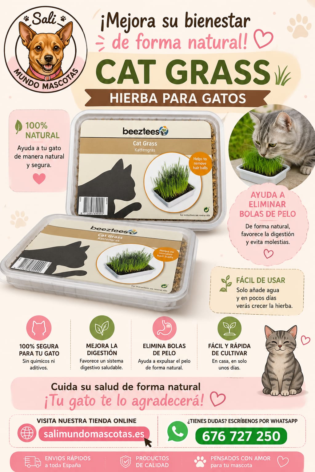 Cat Grass Beeztees (Hairball Remedy) - Free Shipping
