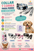 Conjunto Collar y Correa para Perro Ajustable 30-50 cm | Varios Diseños | Sali Mundo Mascotas