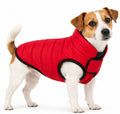 Abrigo Flamingo Eden Rojo para Perros – Ligero y Compacto
