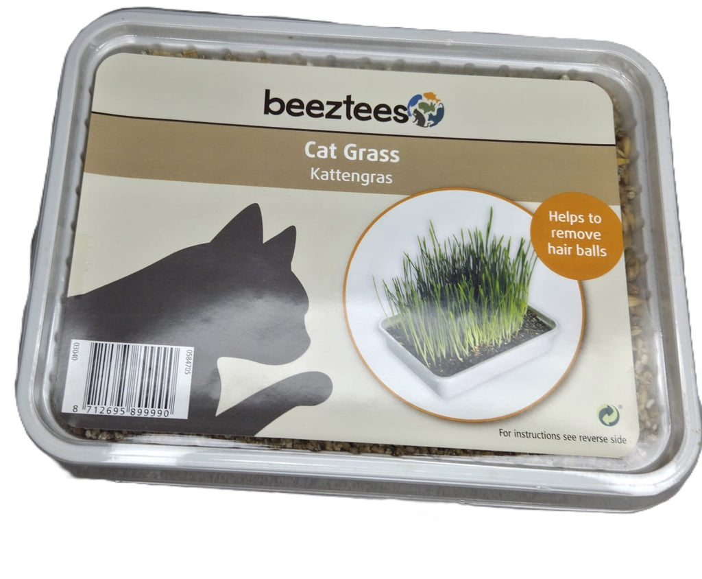 Hierba para Gatos Cat Grass Beeztees (Elimina Bolas de Pelo) - Envío Gratis