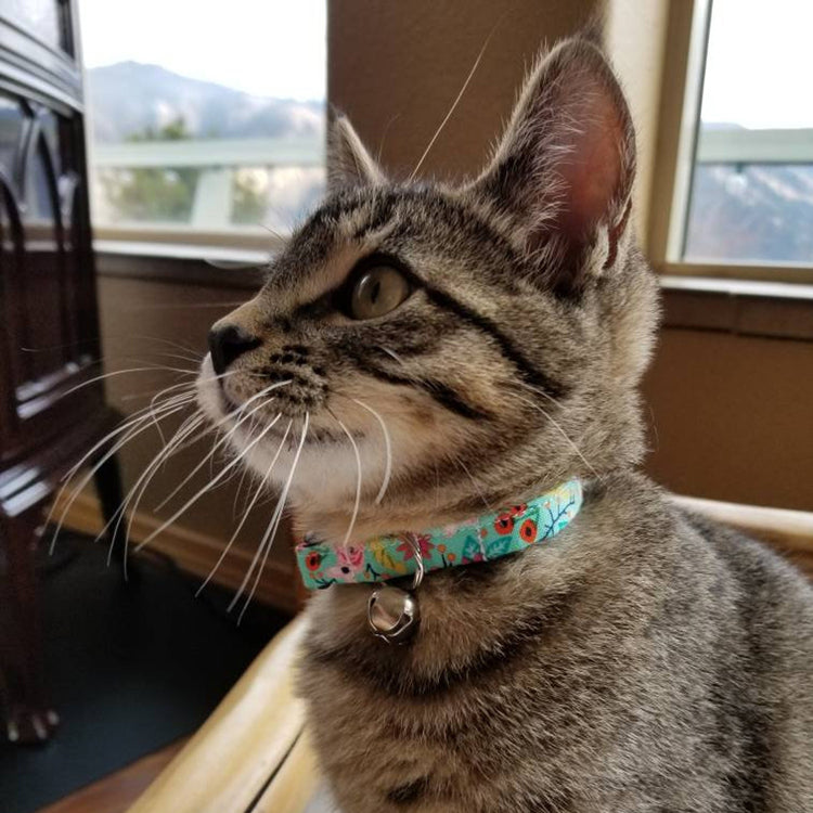 Collar para Gatos Ajustable con Cascabel – Diseño Cómodo y Ligero