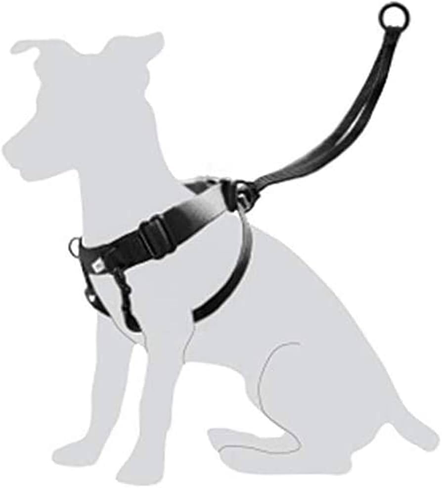 Arnés Easy Walker para Perros – Cómodo y Ajustable para Paseos