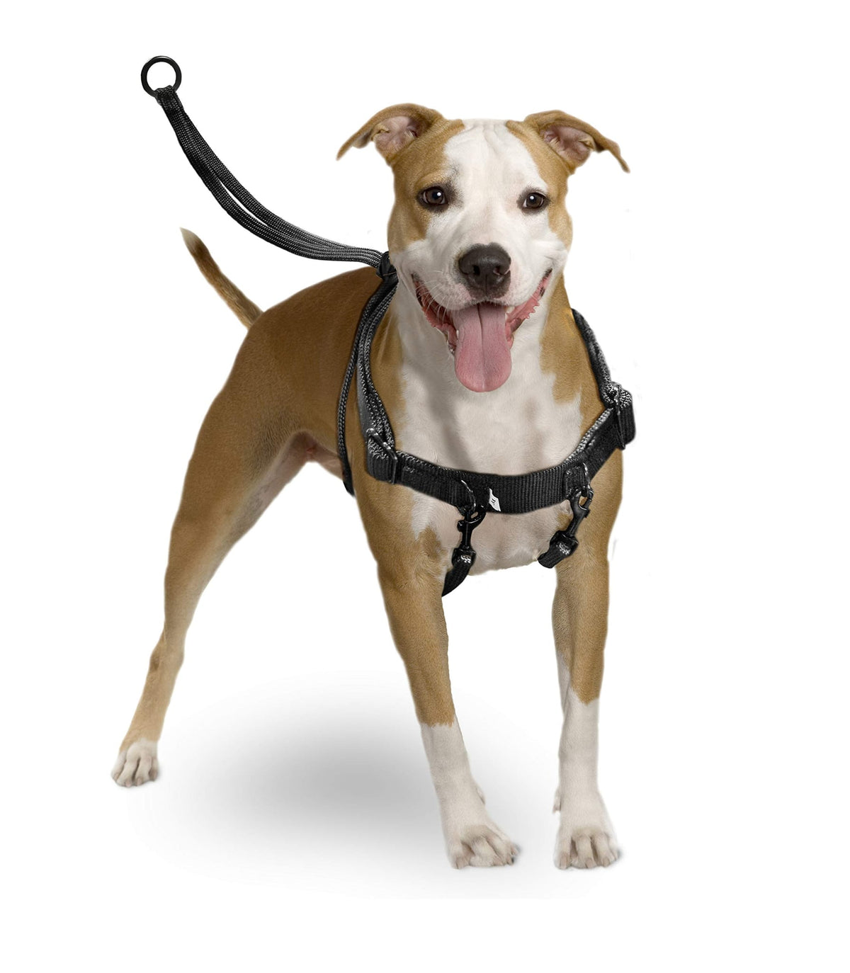 Arnés Easy Walker para Perros – Cómodo y Ajustable para Paseos