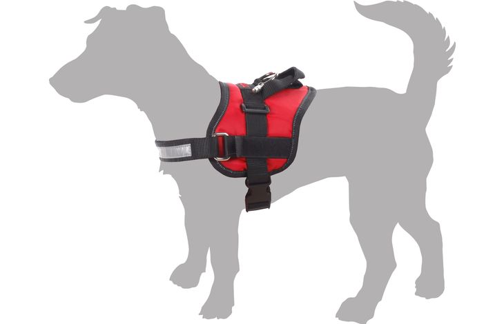 Arnés Teflon® Adventure para Perros – Ajustable, Resistente y Reflectante