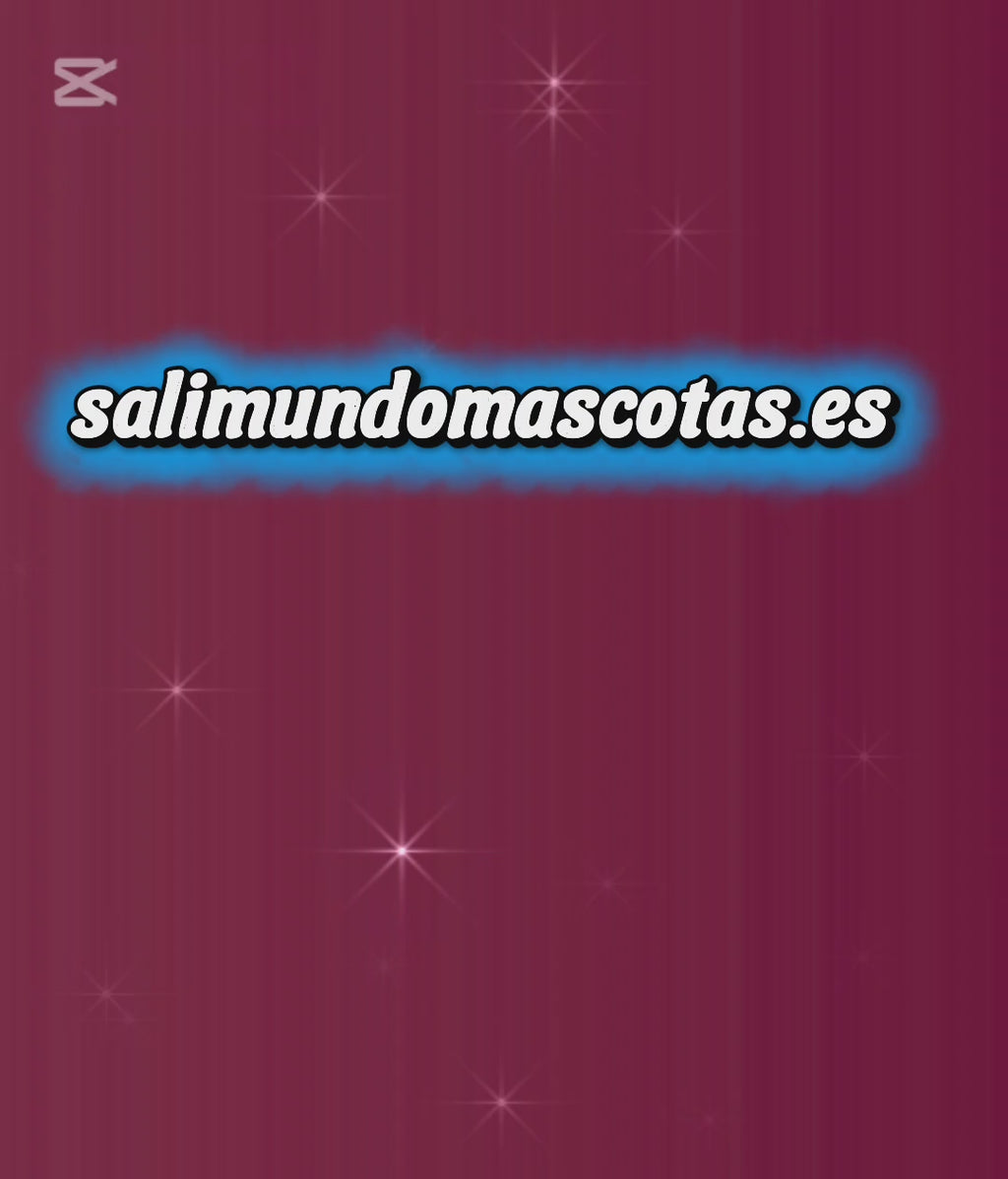 Correa Retráctil Automática Sali con Dispensador Integrado 🐾