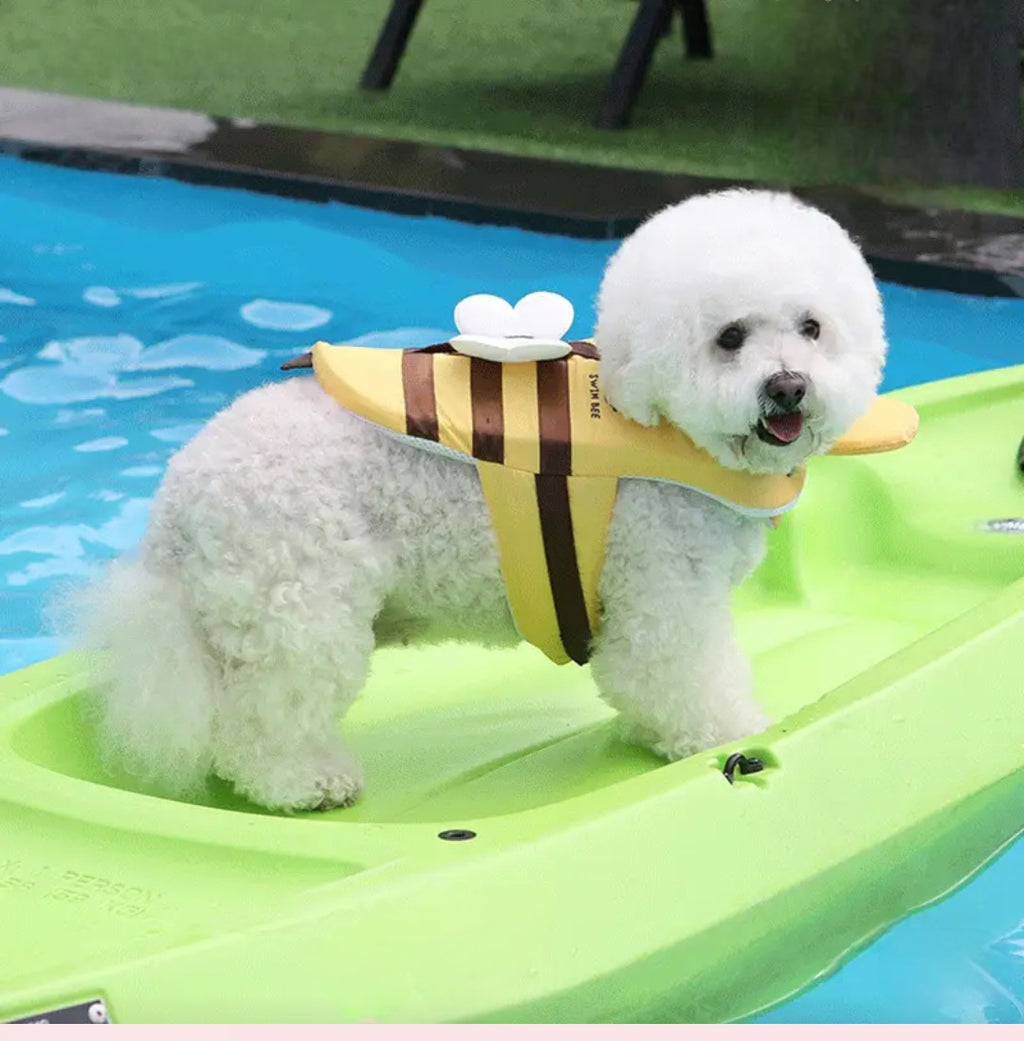 Bañador para perros