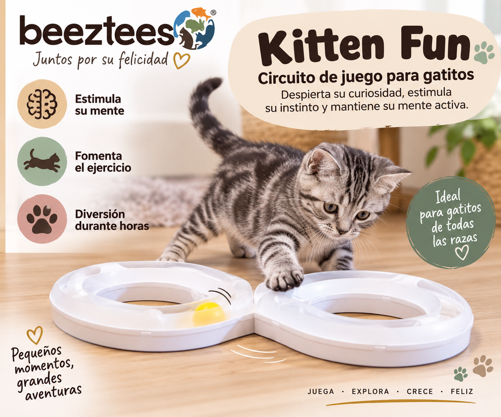 Beeztees Kitten Fun – Circuito de Juego en Forma de 8 para Gatitos